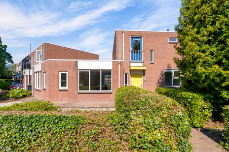 undefined main image