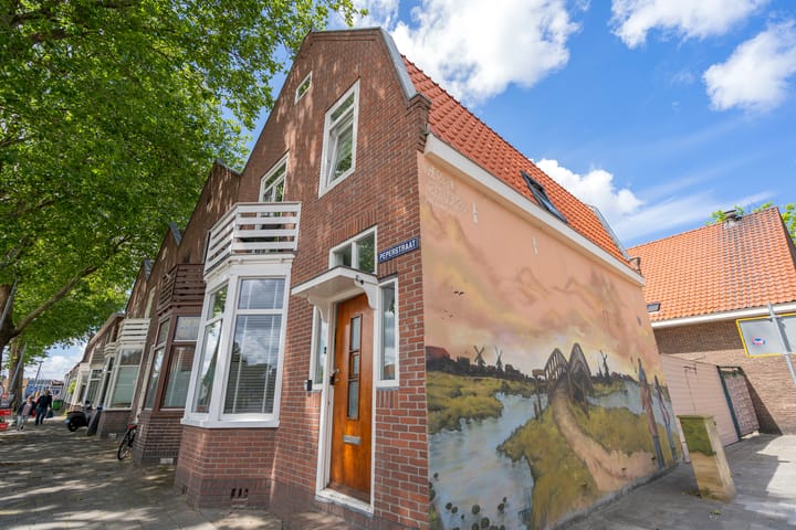 Peperstraat 319 main image
