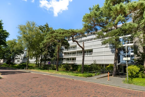 undefined main image