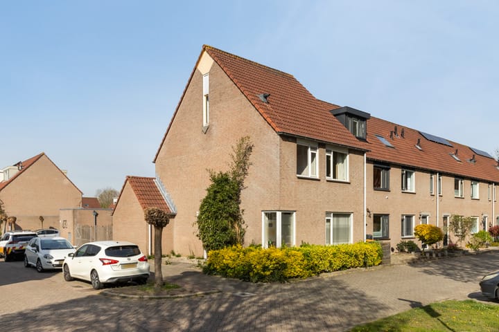 Goudplevier 14 main image