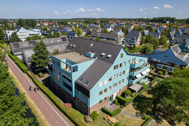 Cypergras 193 main image