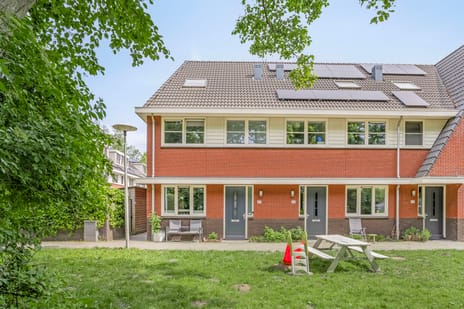 undefined main image