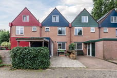 Afbeelding van Grutto 31 - Tweede foto