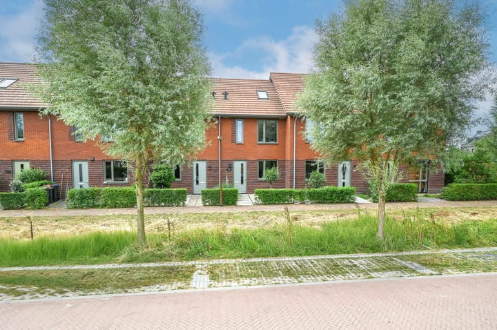 A.J. van der Wielstraat 124 main image
