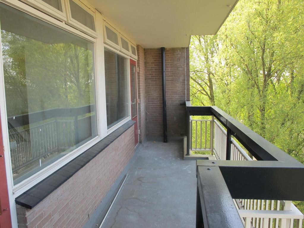 House Image 4