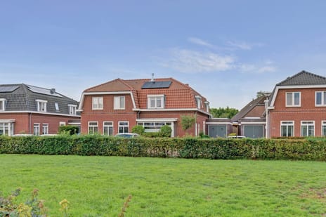 Standerd 55 main image