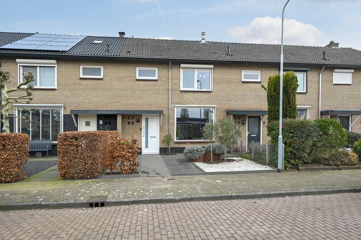 van Pallandtstraat 13 main image