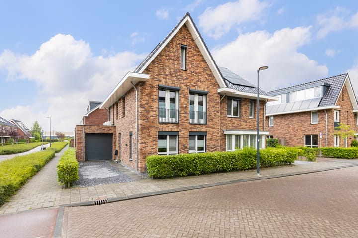 Pieter Lieftinckstraat 1 main image