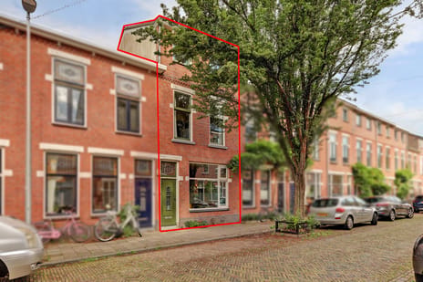 undefined main image
