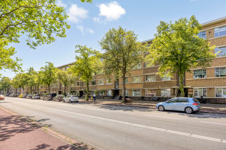 Troelstrakade 219