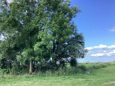 Afbeelding van Eilandspolder 857 - Derde foto