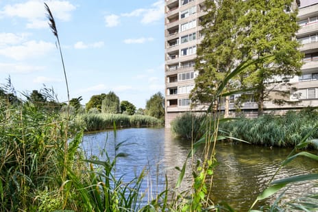 Coornhertstraat 125 secondary image