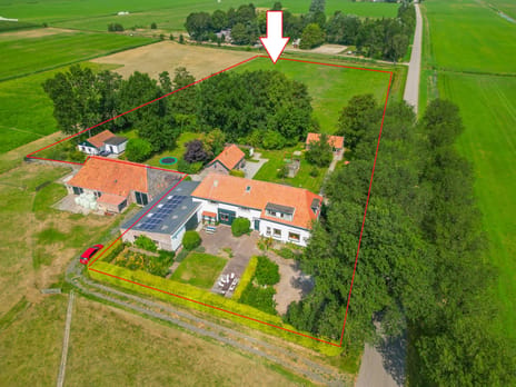 undefined main image