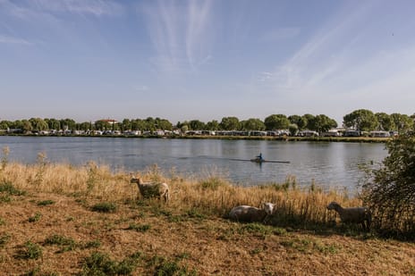 Afbeelding van Maasstraat 10 - Derde foto