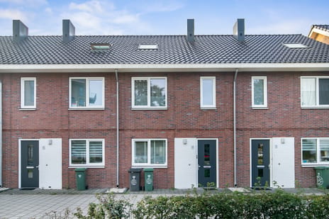 undefined main image