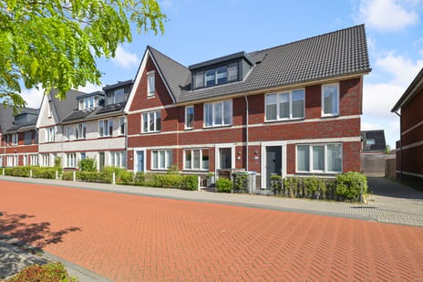 Knobbelzwaan 102 main image