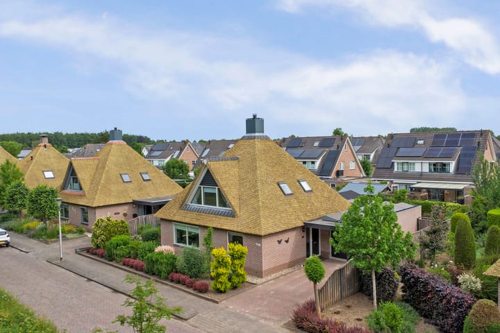 Zwanebloem 62 main image