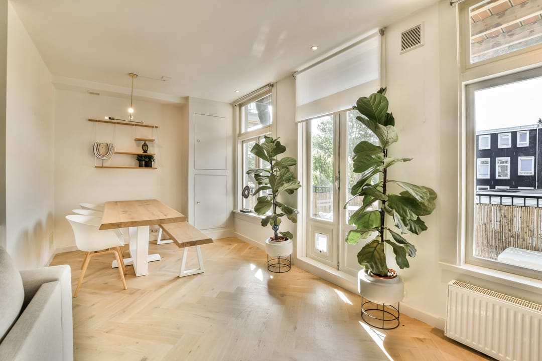 House Image 4