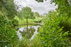 Afbeelding van Walem 4 - Derde foto