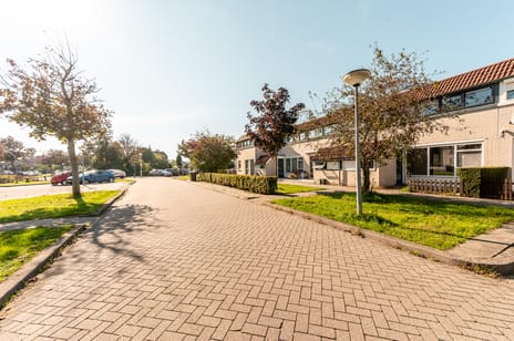 Afbeelding van Galjoen 20 41 - Derde foto
