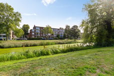 Afbeelding van Hora Siccamasingel 369 - Tweede foto