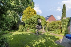 Afbeelding van Wulp 4 - Derde foto