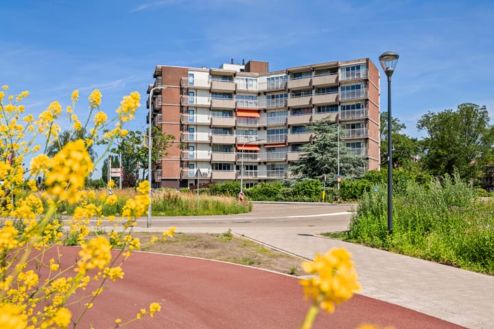 Victor van Vrieslandstraat 41 main image
