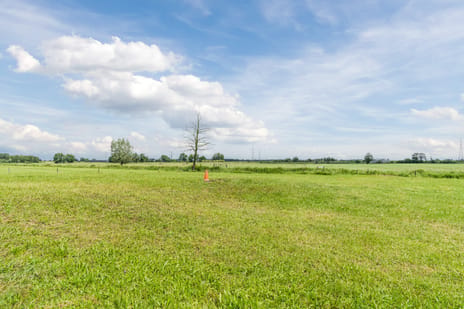 de Wangen 4 tertiary image