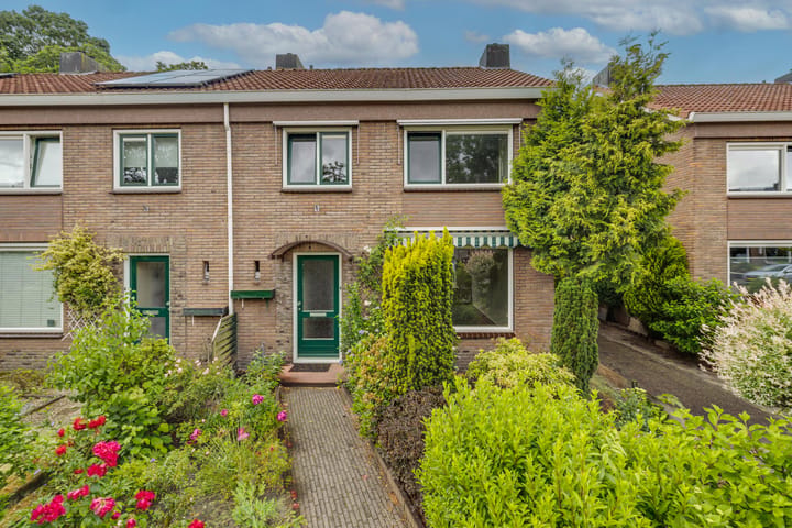 Bachlaan 50 main image