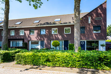undefined main image