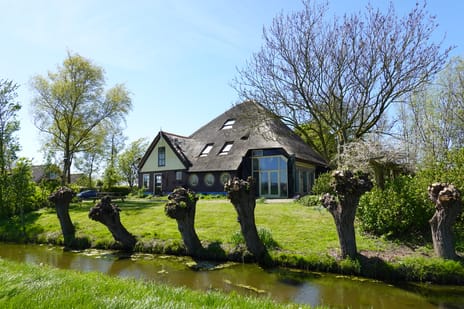 Afbeelding van Paradijs 2 - Tweede foto