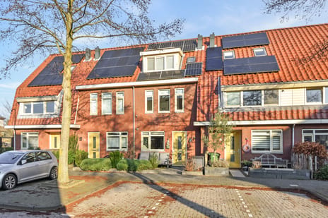 undefined main image