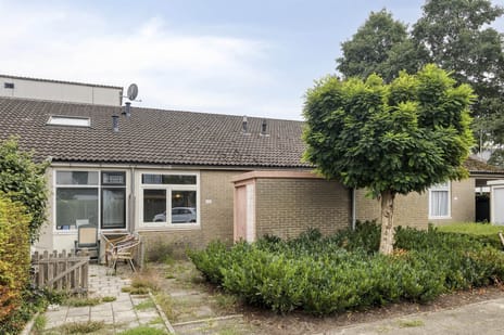undefined main image