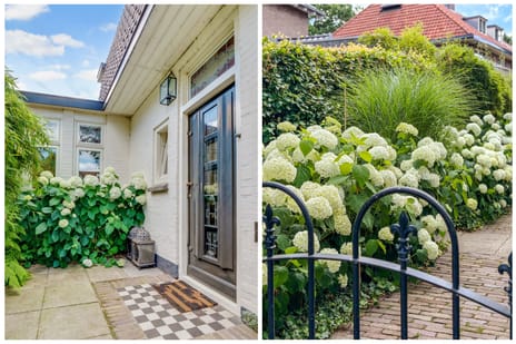 Afbeelding van Mariastraat 22 - Derde foto