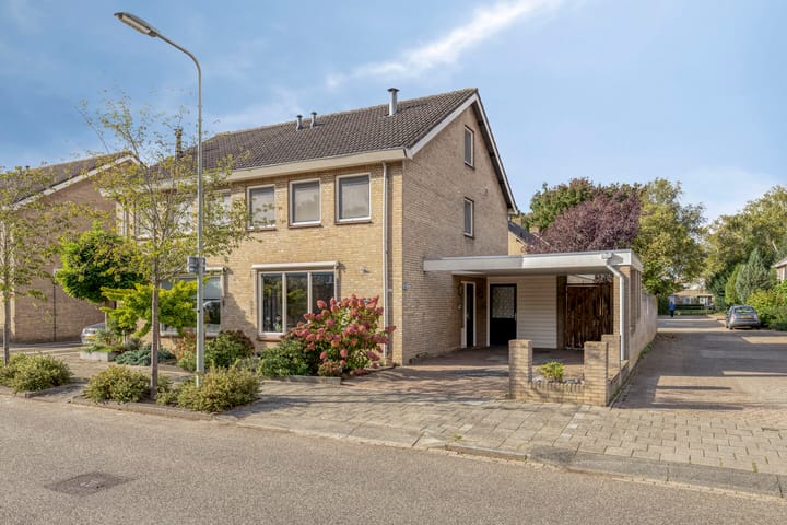 Adelaar 109 main image