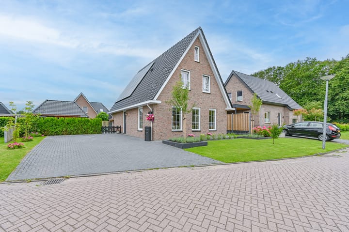 Wolvenhaar 4 main image