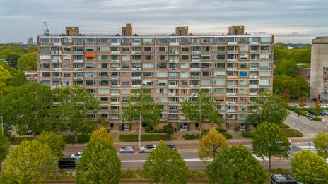 Molenvliet 84