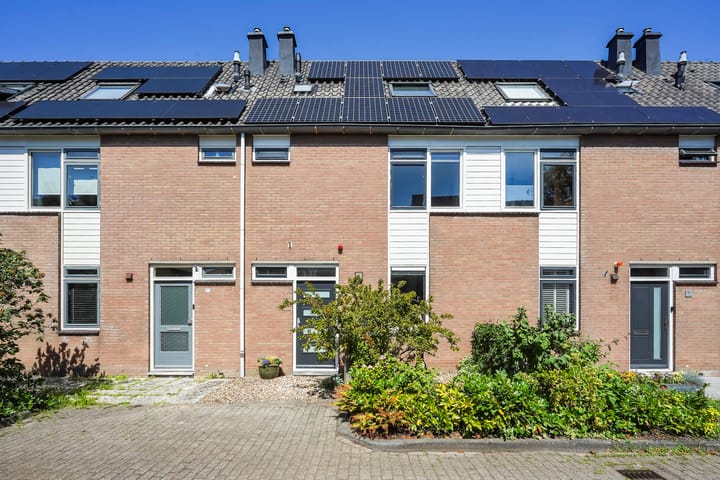 Beelstraat 50 main image