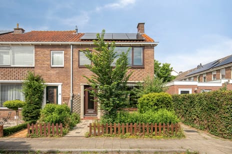 undefined main image