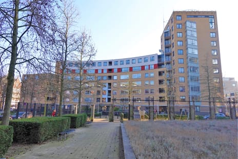 Henriëtte Roland Holststraat 86