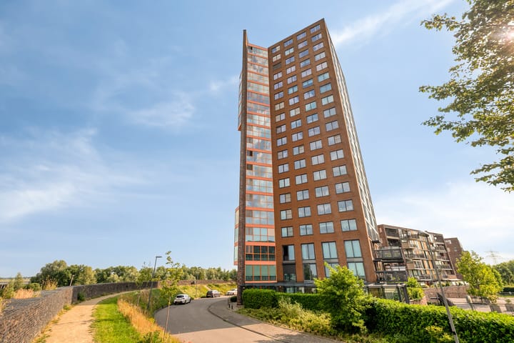 Forel 198 main image
