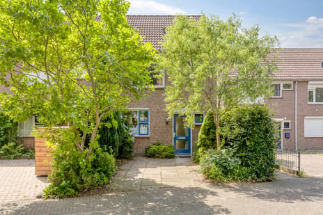 undefined main image