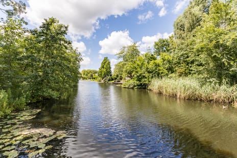 Afbeelding van Aldengoor 3 - Derde foto