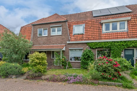 undefined main image
