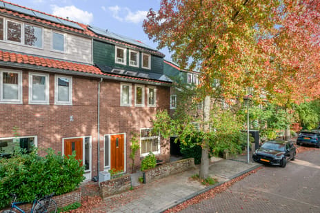Van Raephorststraat 24 main image