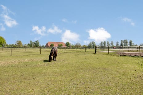 Wessinghuizerweg 7 tertiary image