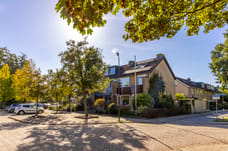 Afbeelding van Groot Veldsweer 1 - Tweede foto