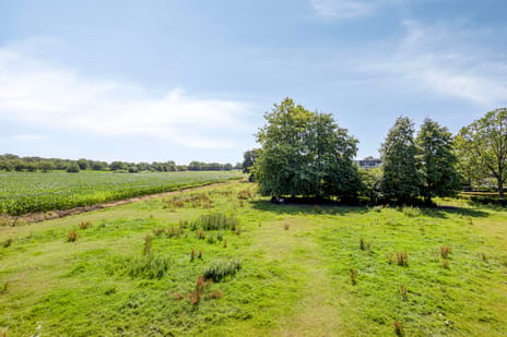 de Wiecken 23 secondary image