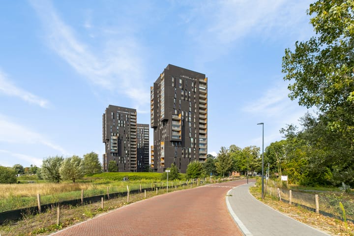 Dirk Hartogstraat 11 main image