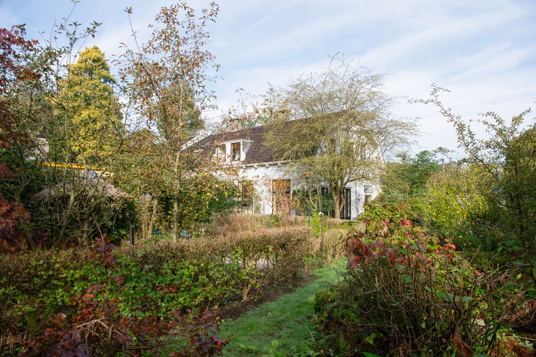 House Image 3